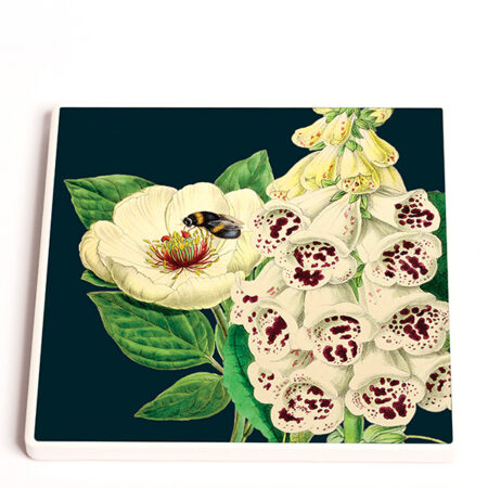 Madame Treacle Midnight Botanical Coasters