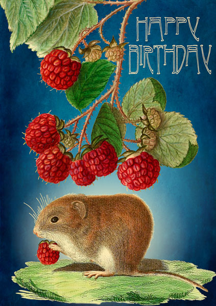 mouse Madame Treacle Birthday Greeting Card