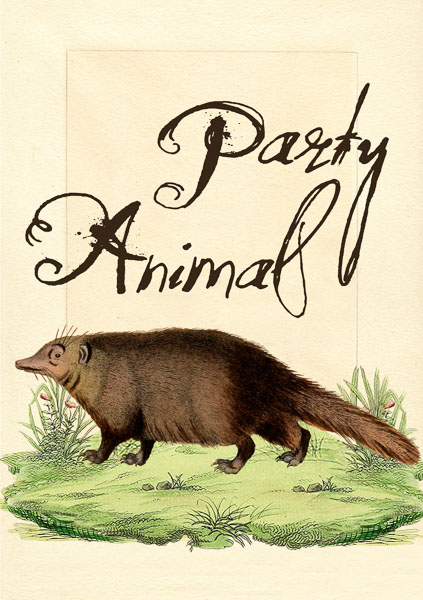 Madame Treacle Party Animal Greeting cards