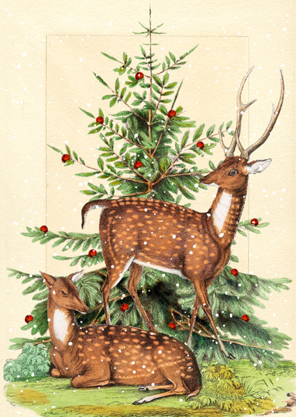 Madame Treacle Christmas Card