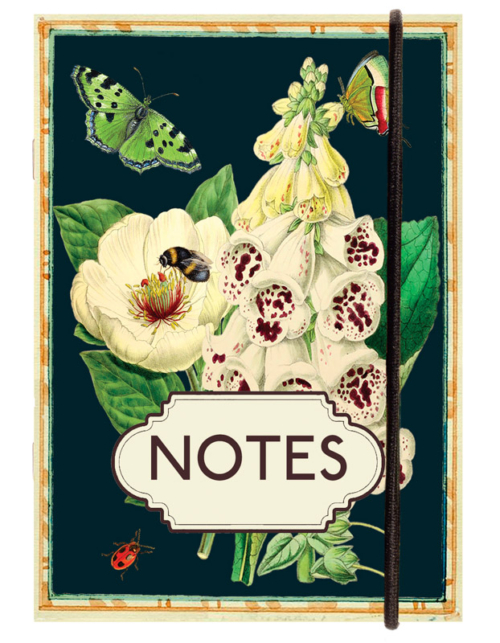 Madame Treacle Notebooks