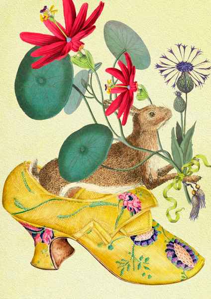 Madame Treacle Whimsical Greeting Cards