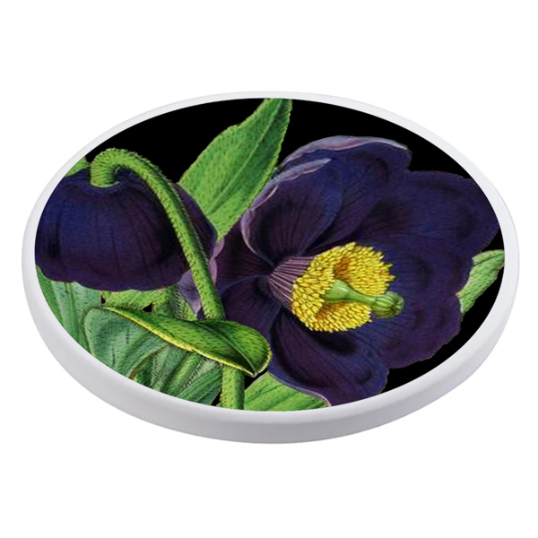 Madame Treacle Midnight Botanical Ceramic Coasters